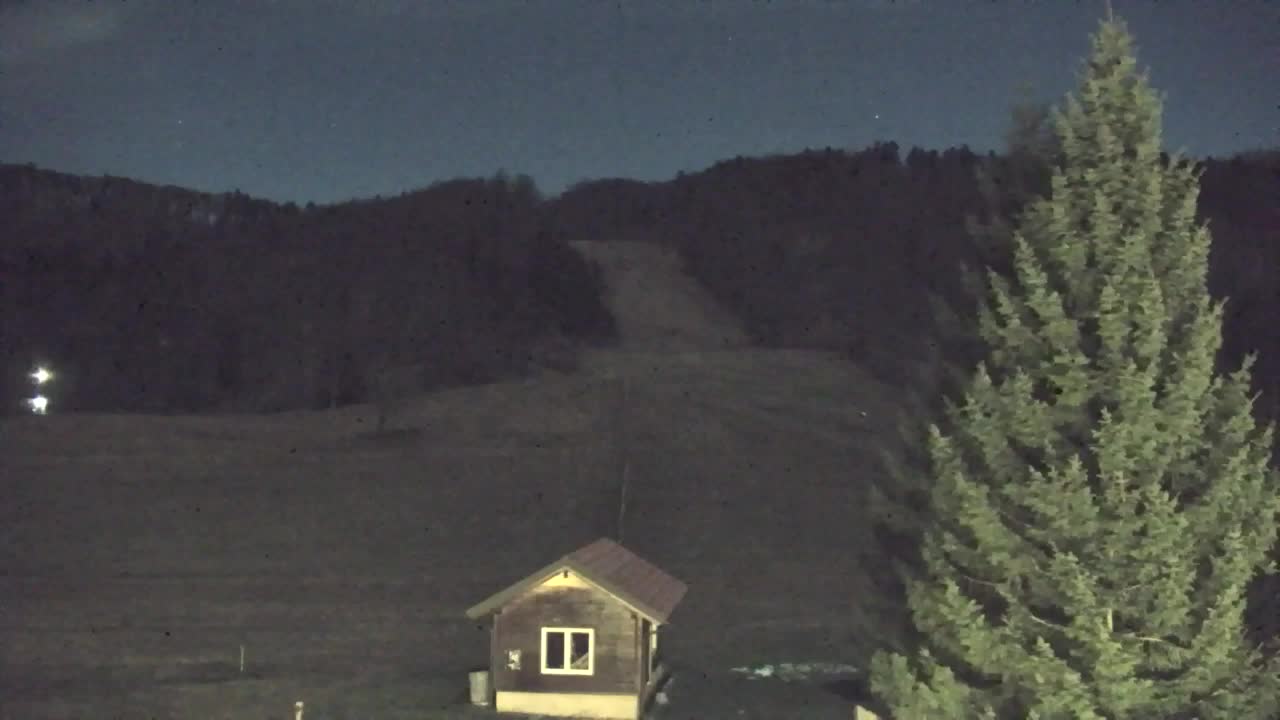 Webcam Lokve – Die Schönheit des Trnovo-Waldes