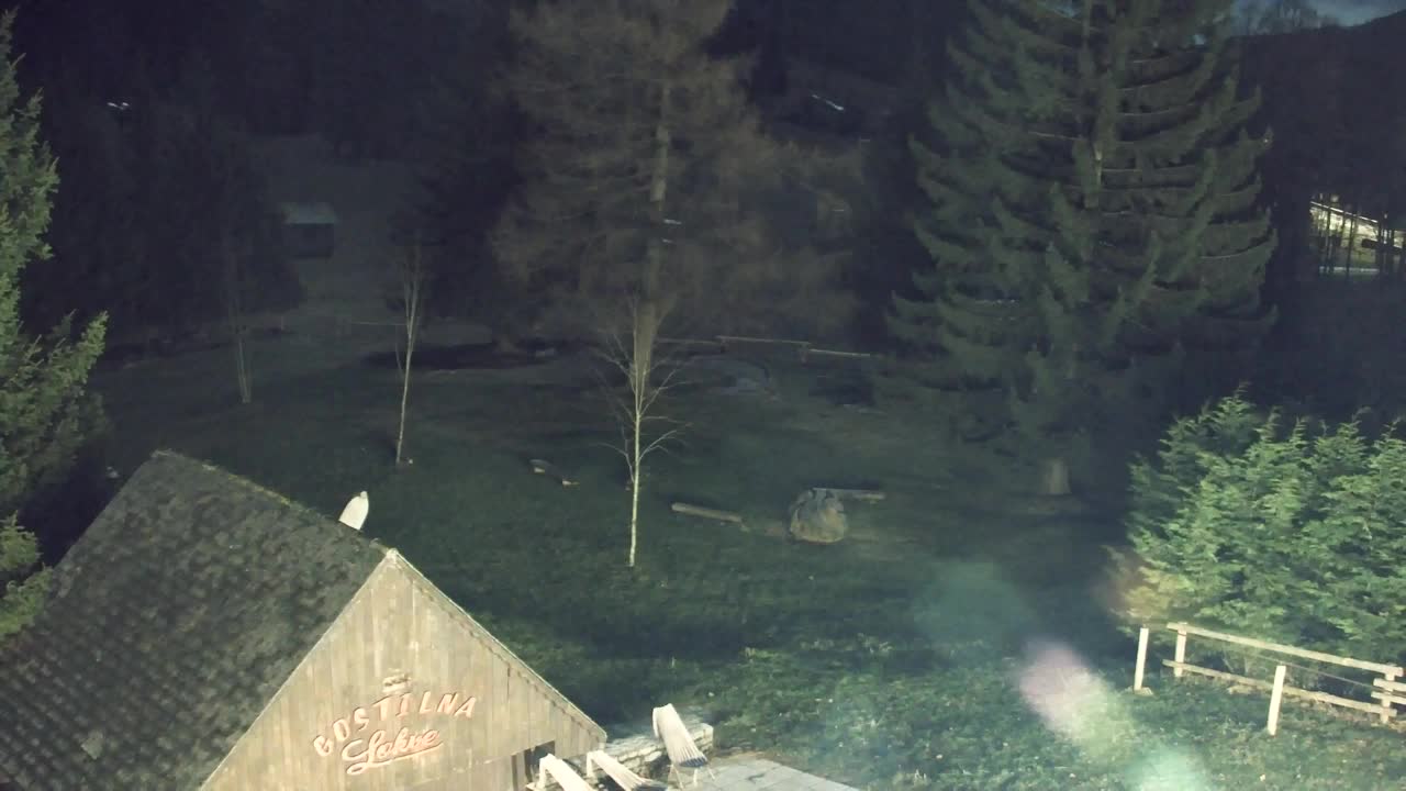 Webcam Loqua / Lokve – La bellezza della selva di Tarnova