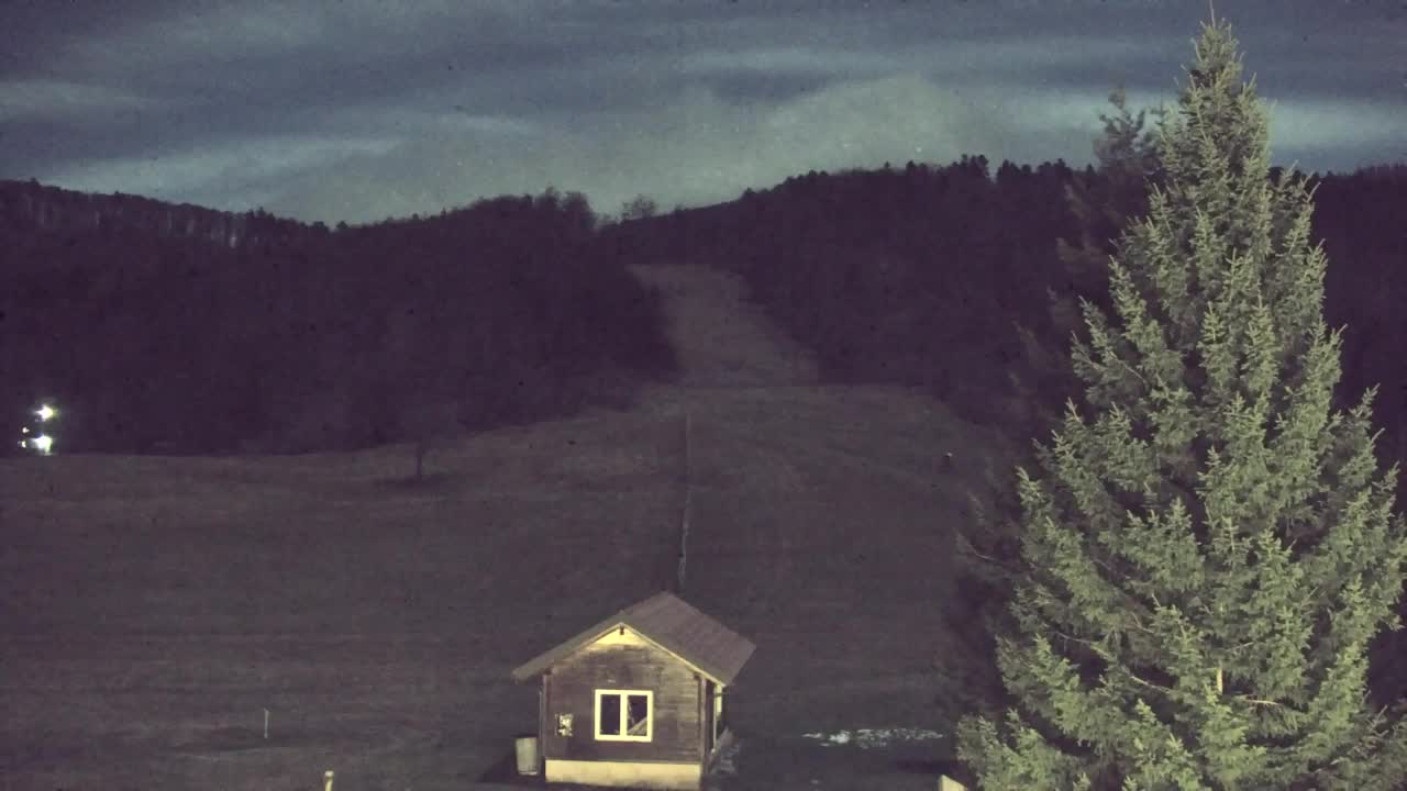 Webcam Lokve – La beauté de la forêt de Trnovo