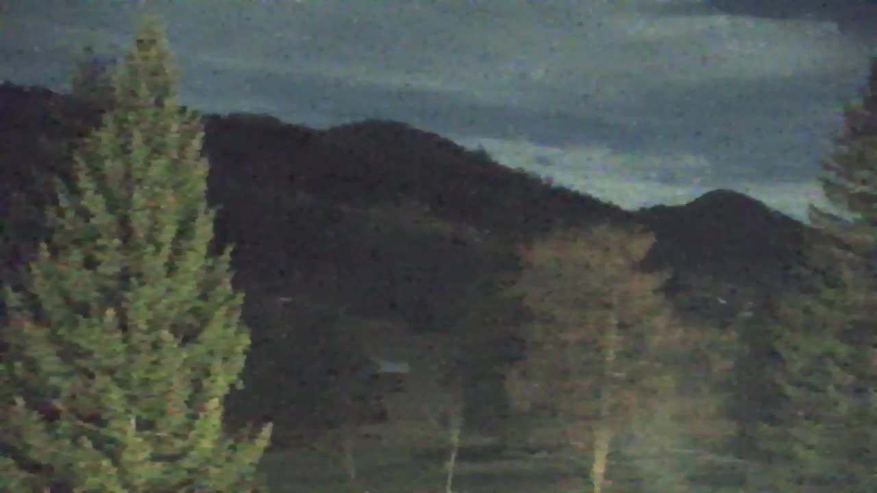 Webcam Lokve – La beauté de la forêt de Trnovo