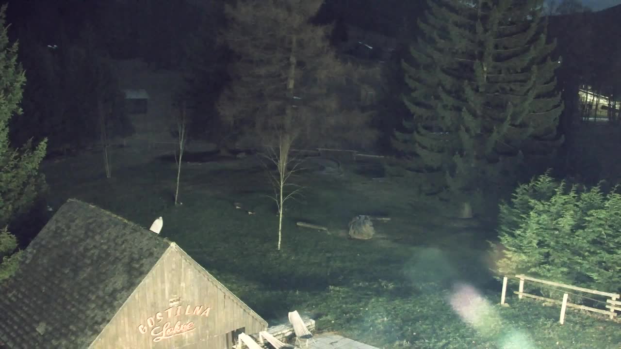 Webcam Lokve – La beauté de la forêt de Trnovo