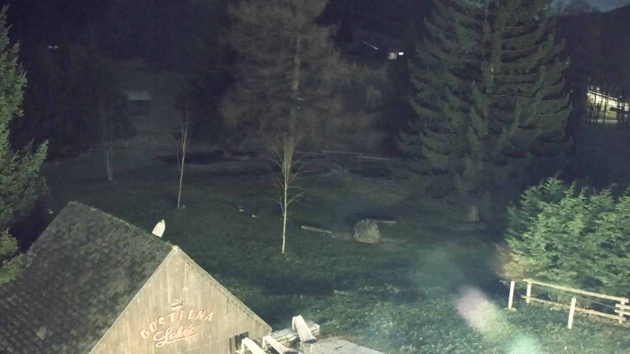 Webcam Loqua / Lokve – La bellezza della selva di Tarnova