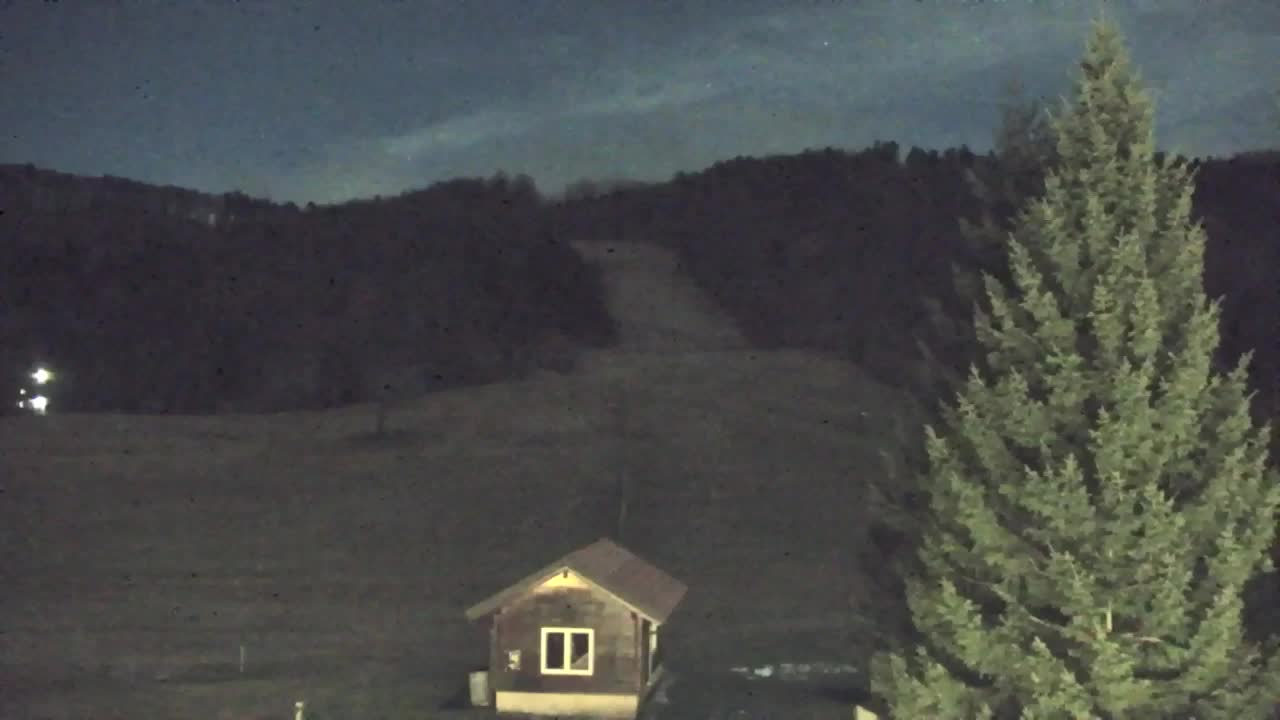 Webcam Loqua / Lokve – La bellezza della selva di Tarnova