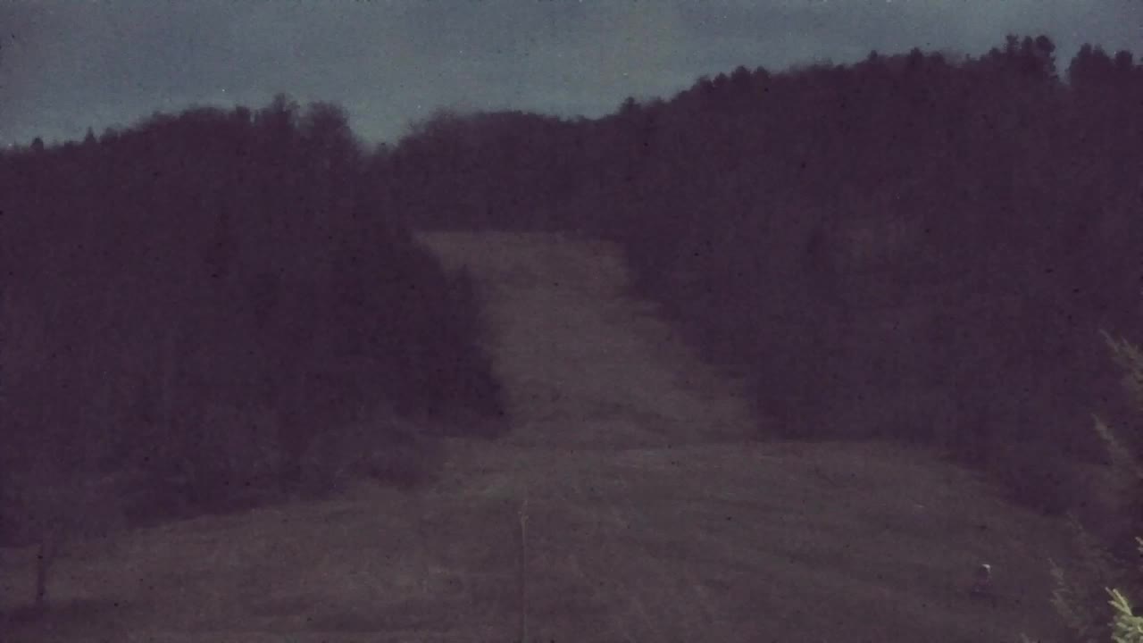 Web kamera Lokve – Ljepota Trnovske šume