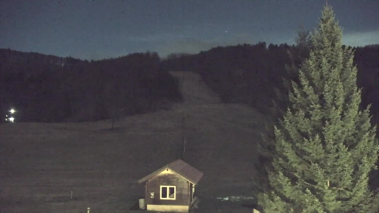 Webcam Lokve – The beauty of the Trnovo forest