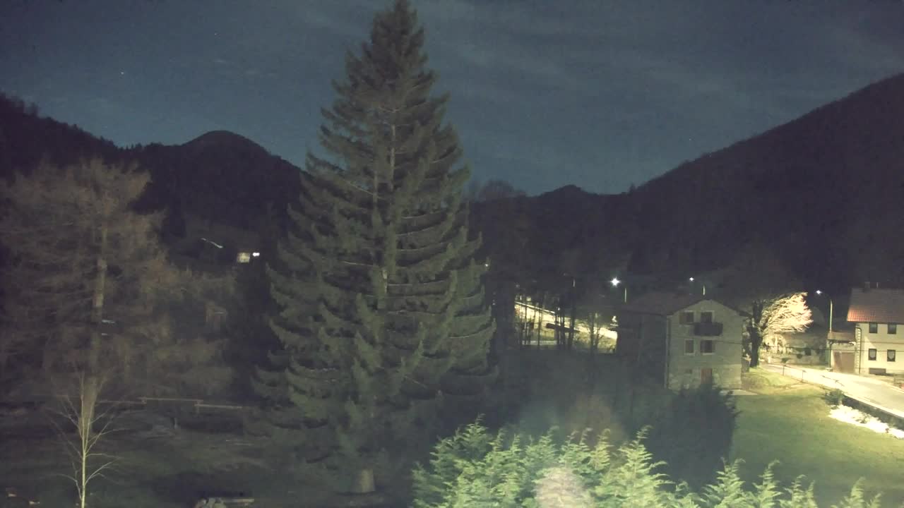 Webcam Lokve – La beauté de la forêt de Trnovo