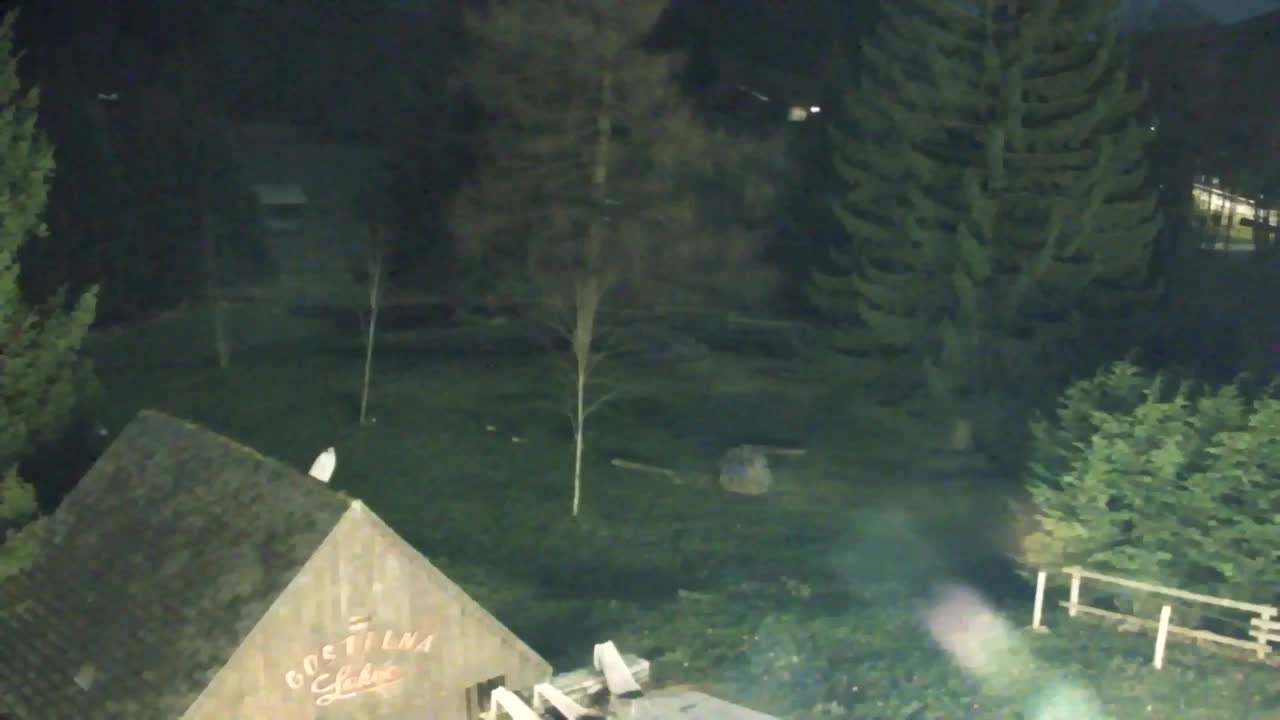 Webcam Lokve – La beauté de la forêt de Trnovo