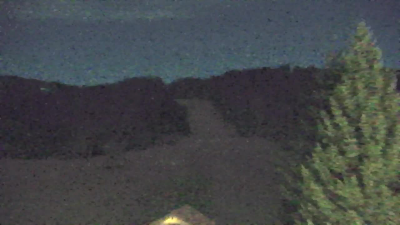 Webcam Lokve – La beauté de la forêt de Trnovo