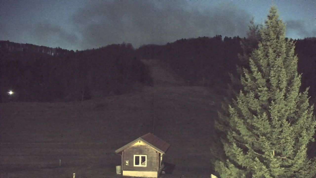 Webcam Lokve – The beauty of the Trnovo forest