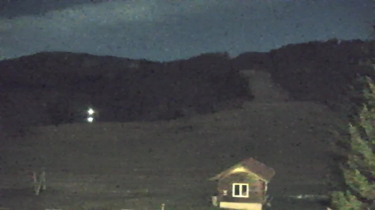 Webcam Lokve – The beauty of the Trnovo forest