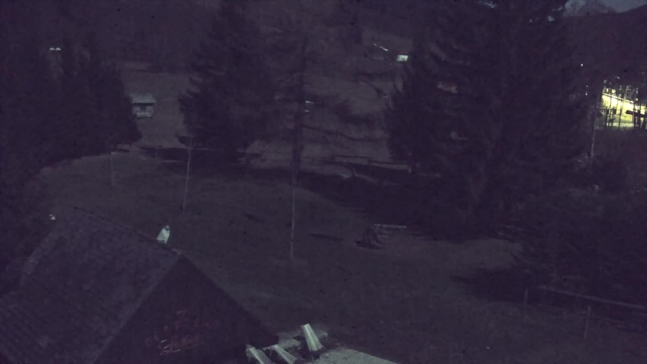 Webcam Lokve – The beauty of the Trnovo forest