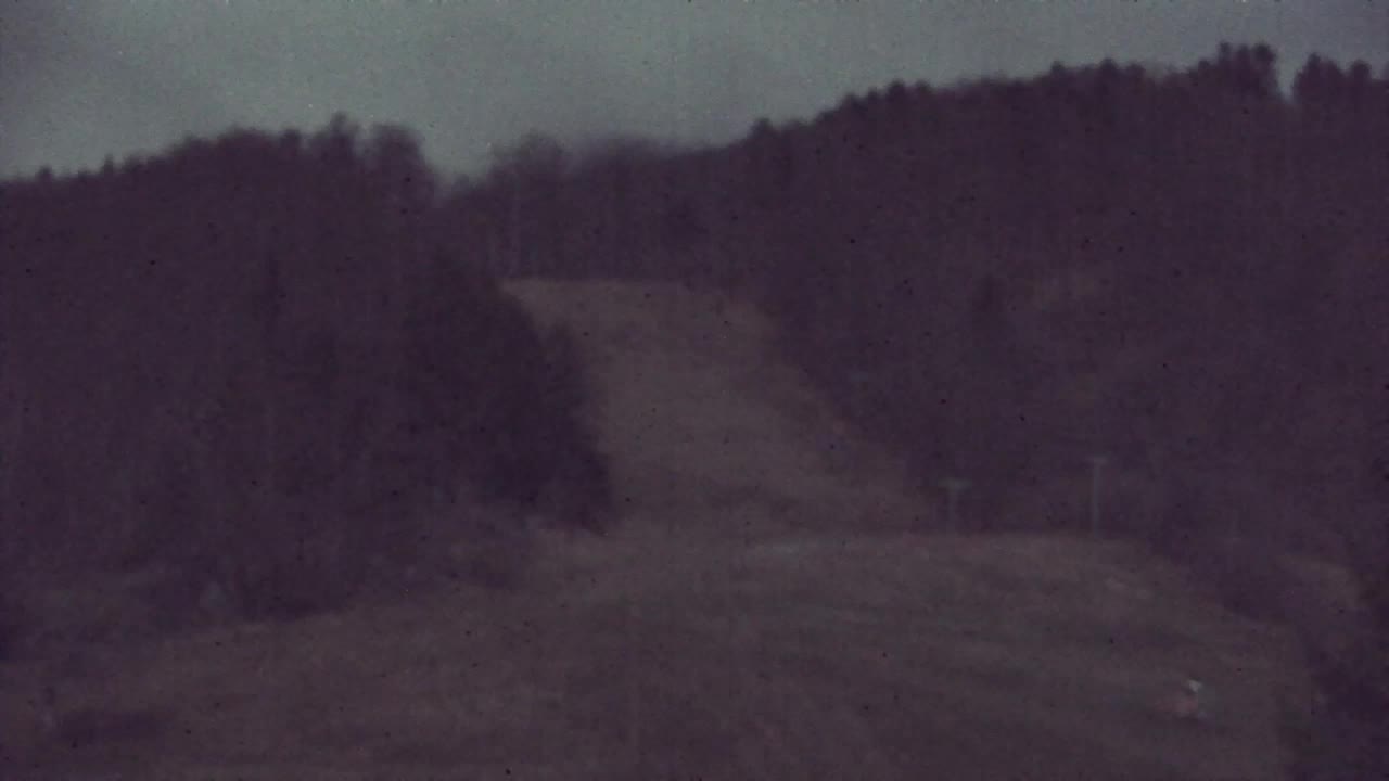 Webcam Loqua / Lokve – La bellezza della selva di Tarnova