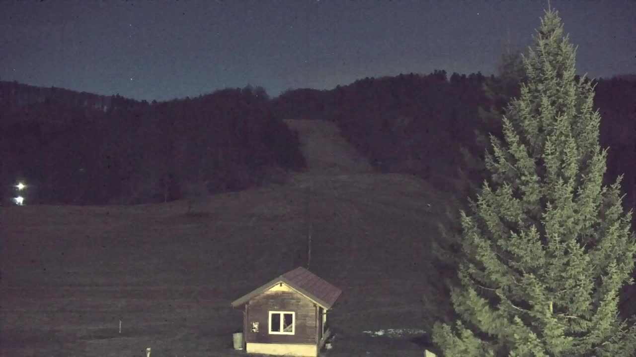 Webcam Lokve – The beauty of the Trnovo forest