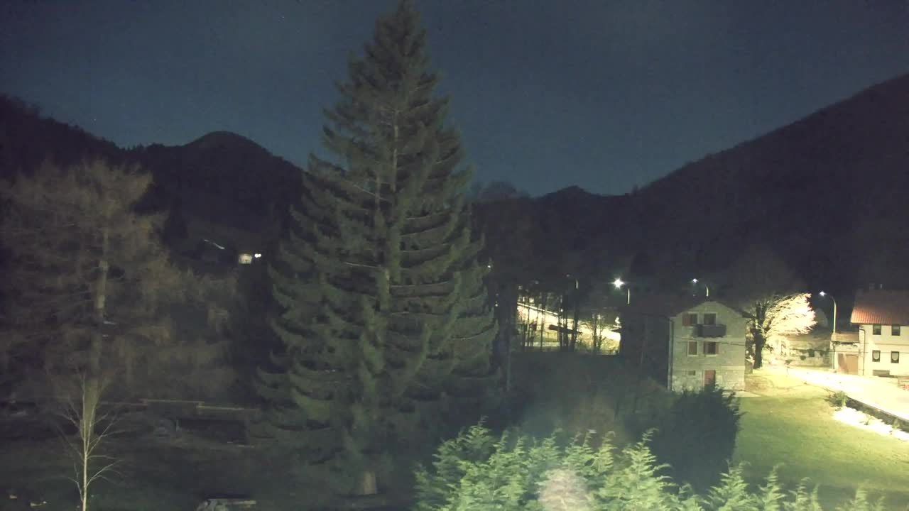 Webcam Loqua / Lokve – La bellezza della selva di Tarnova