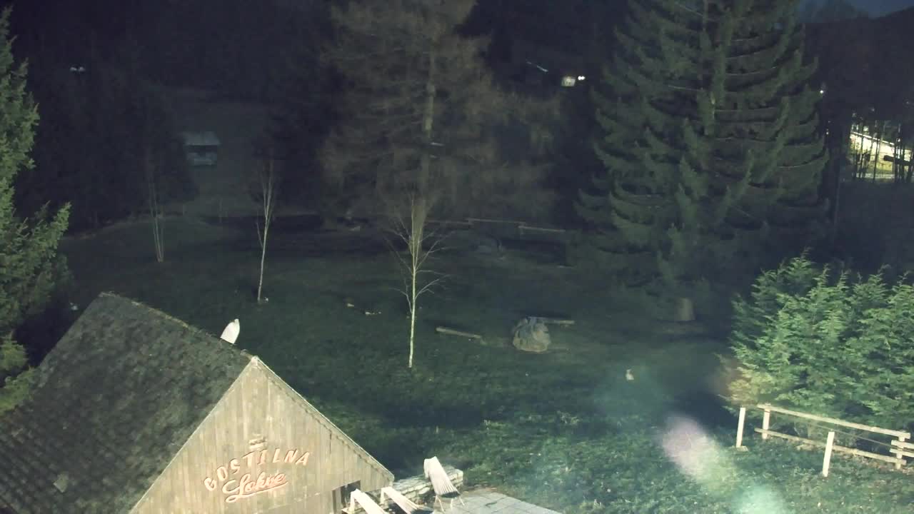 Webcam Loqua / Lokve – La bellezza della selva di Tarnova