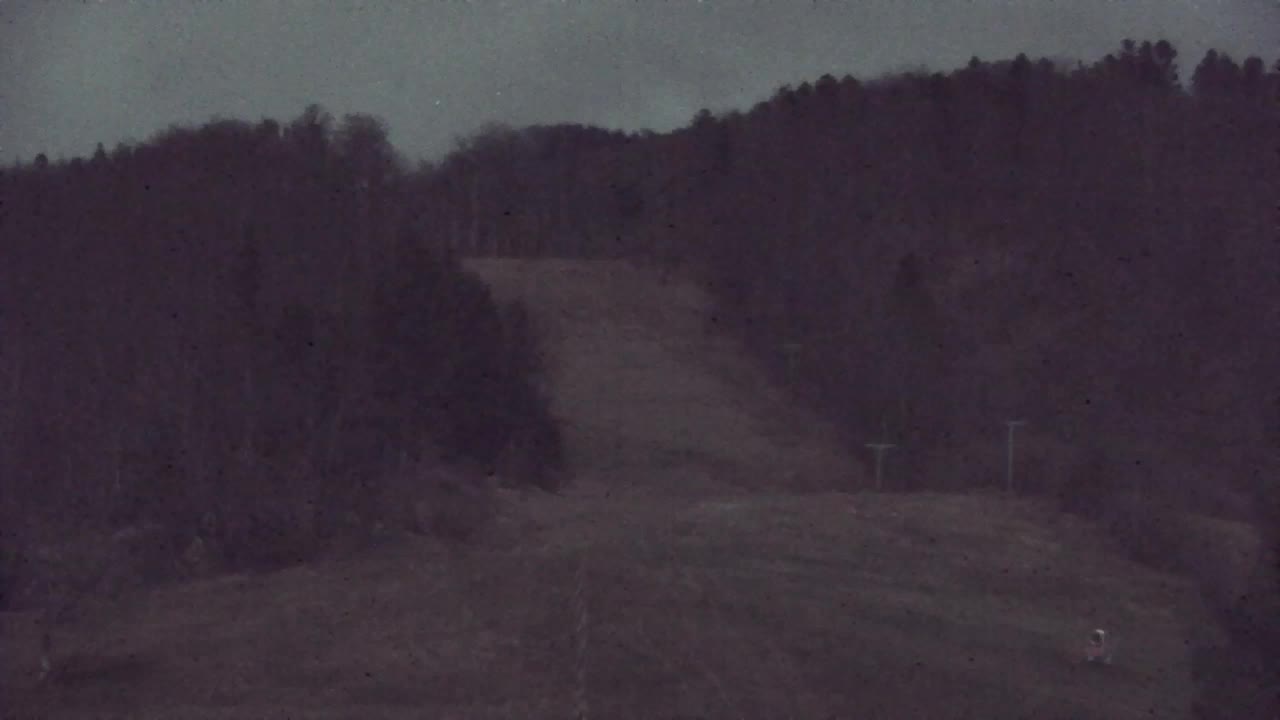 Webcam Loqua / Lokve – La bellezza della selva di Tarnova