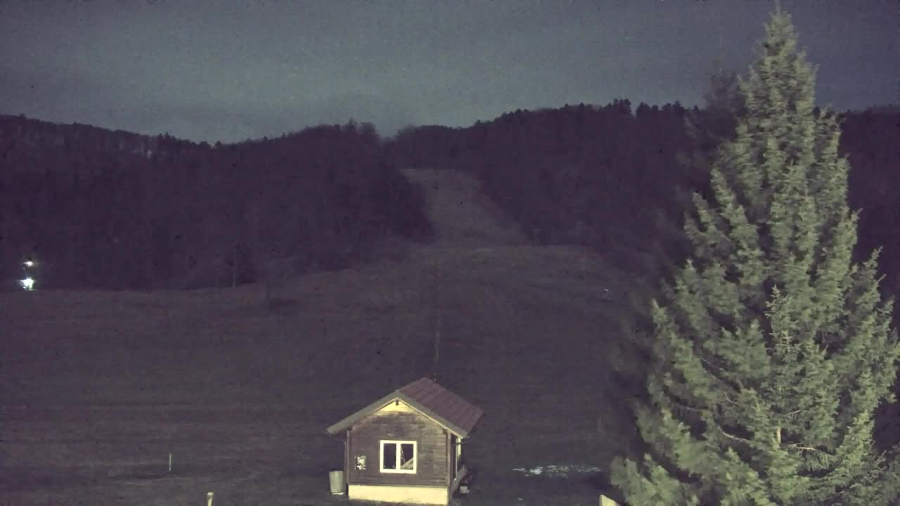 Webcam Loqua / Lokve – La bellezza della selva di Tarnova