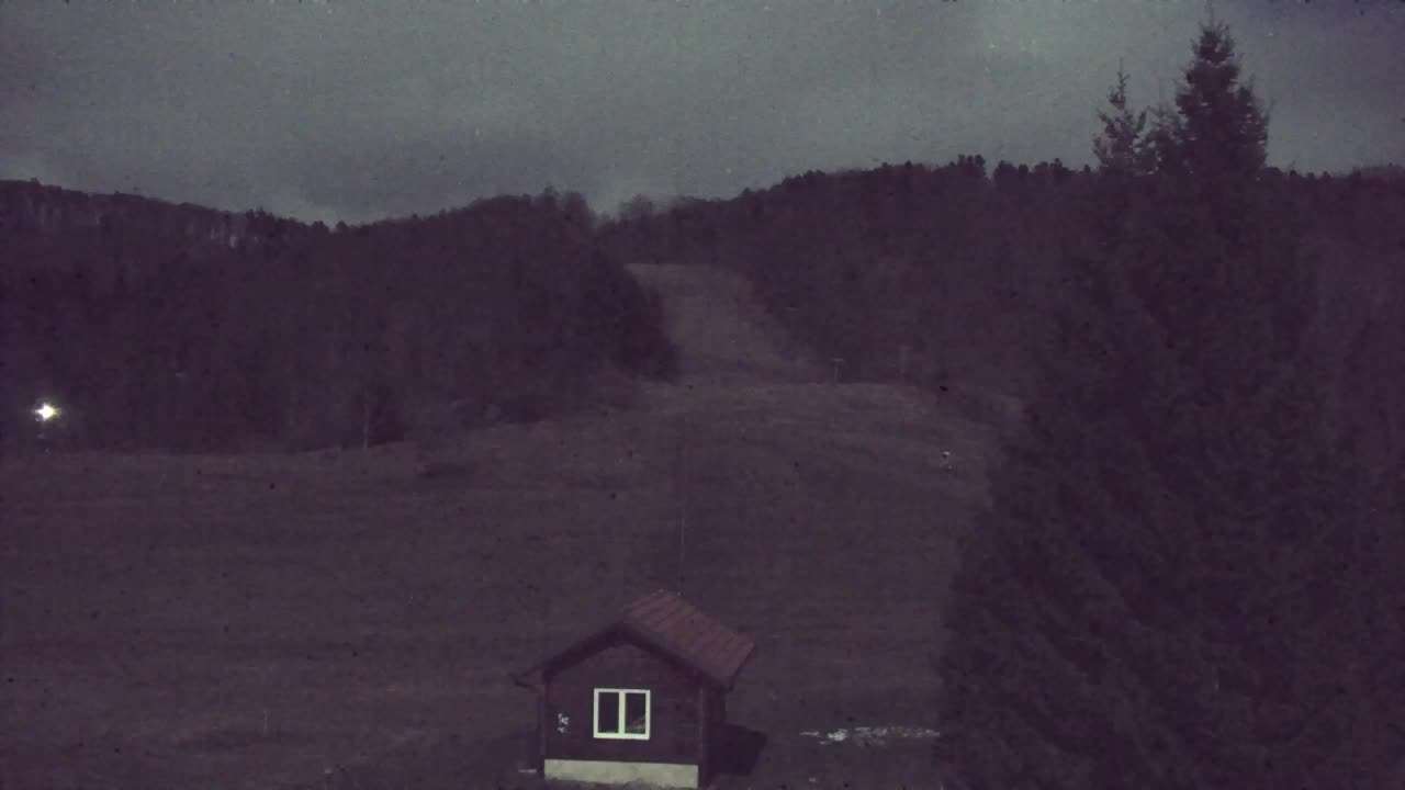 Webcam Lokve – The beauty of the Trnovo forest