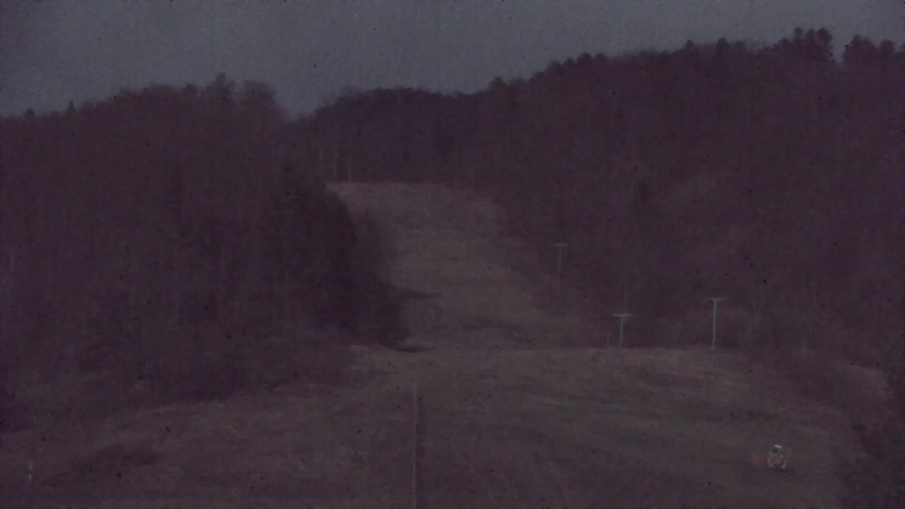 Webcam Lokve – The beauty of the Trnovo forest