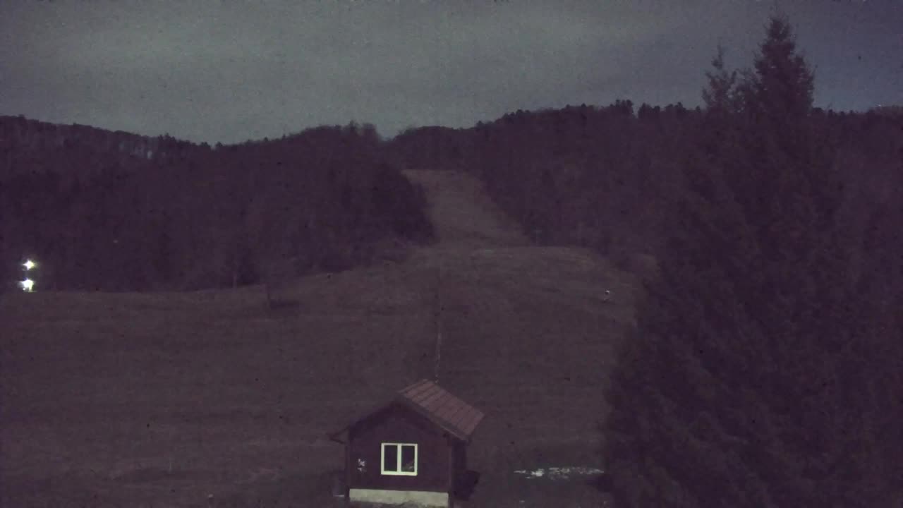 Webcam Lokve – The beauty of the Trnovo forest