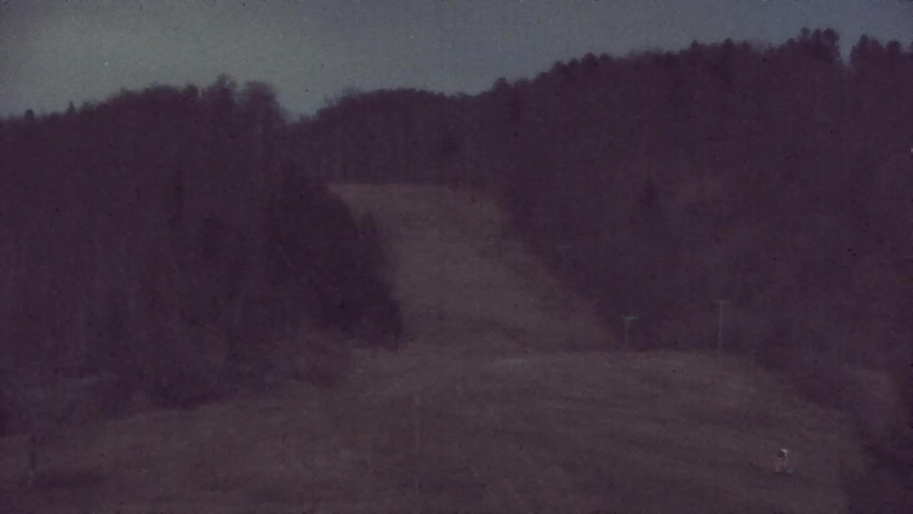 Webcam Lokve – La beauté de la forêt de Trnovo