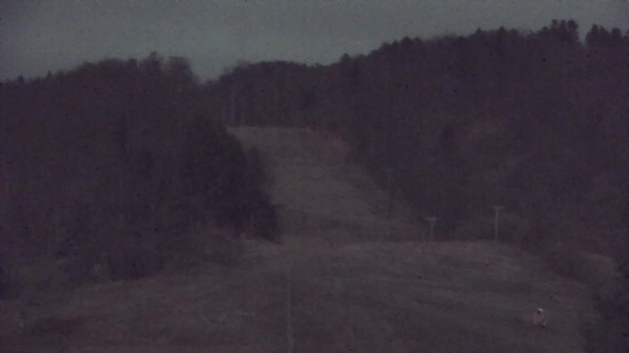 Webcam Lokve – La beauté de la forêt de Trnovo