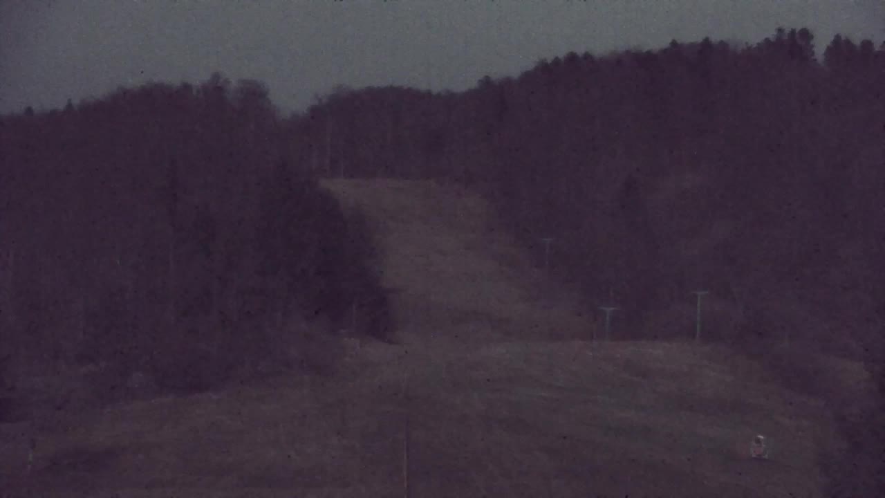 Webcam Loqua / Lokve – La bellezza della selva di Tarnova