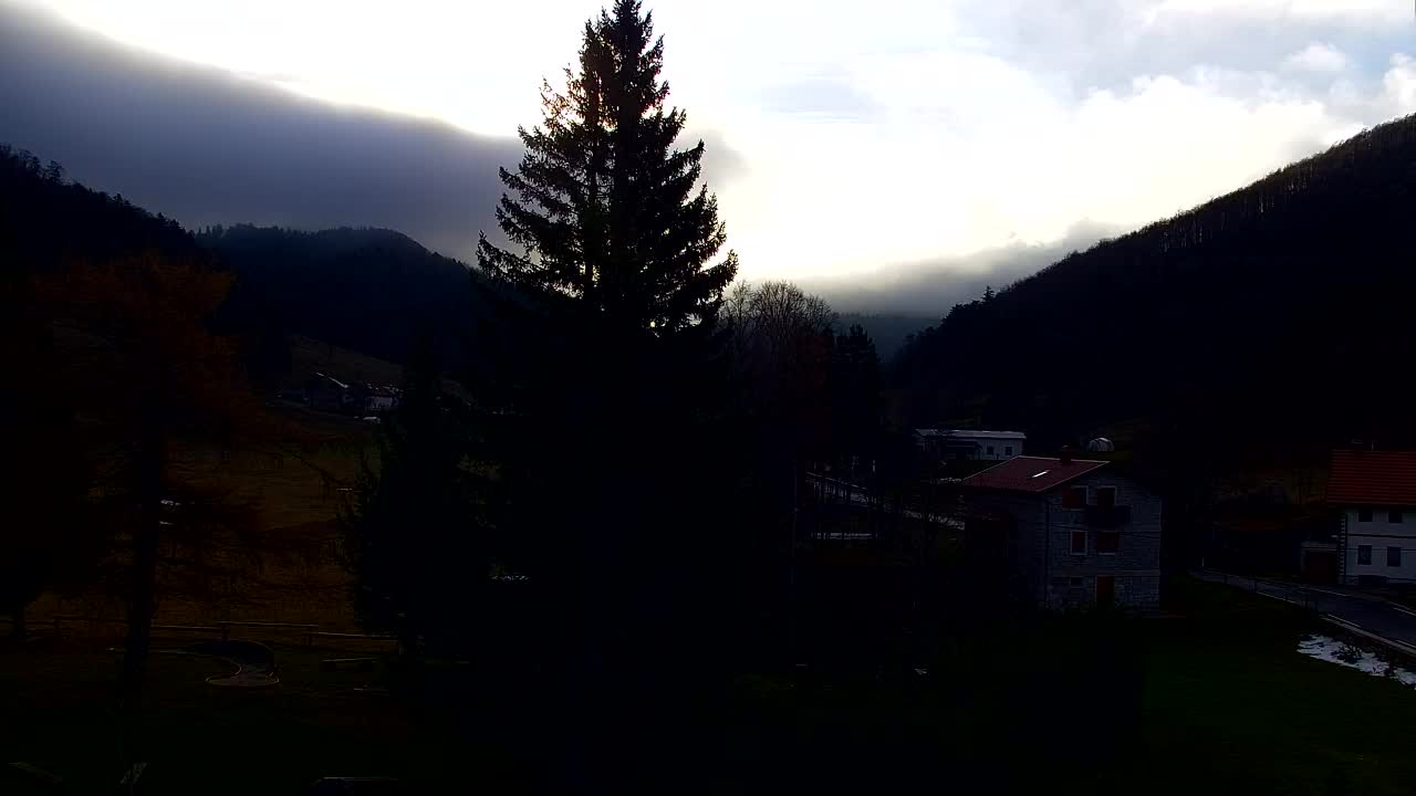 Webcam Loqua / Lokve – La bellezza della selva di Tarnova