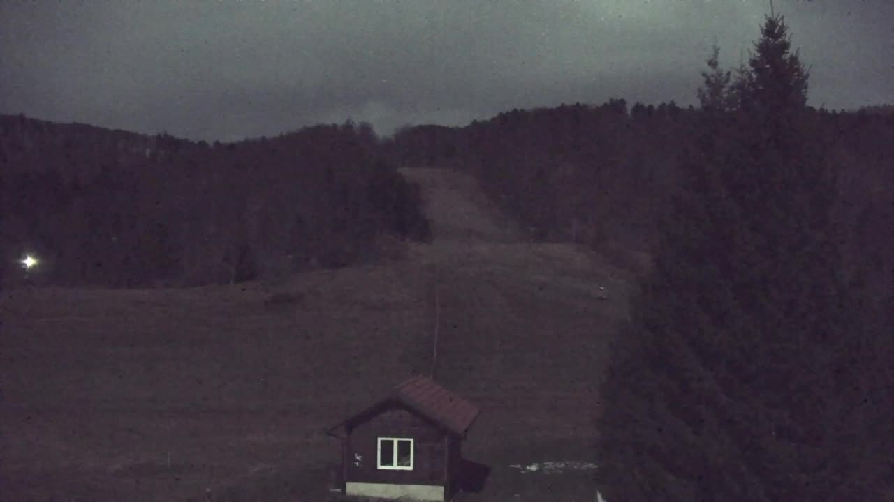 Lokve kamera – Naravne lepote Trnovskega gozda