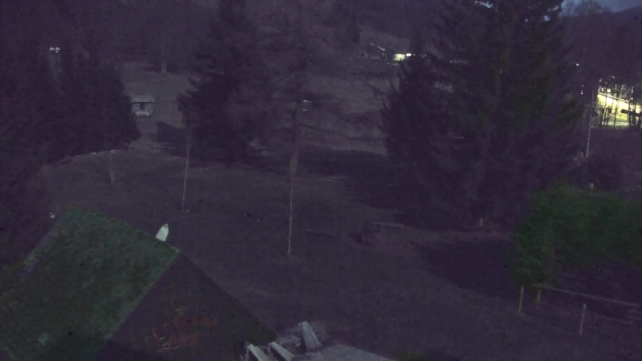 Webcam Loqua / Lokve – La bellezza della selva di Tarnova