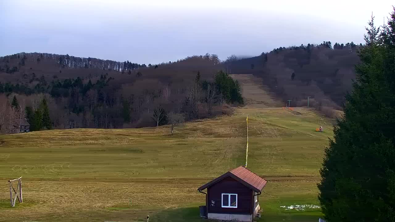Webcam Lokve – The beauty of the Trnovo forest