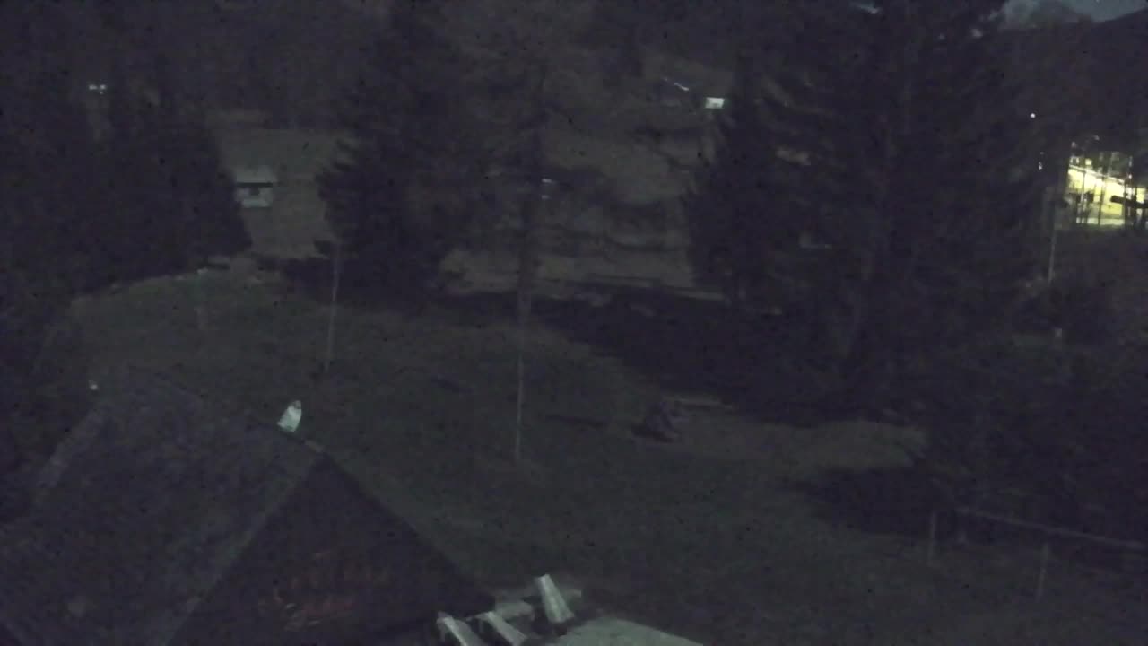 Webcam Lokve – The beauty of the Trnovo forest