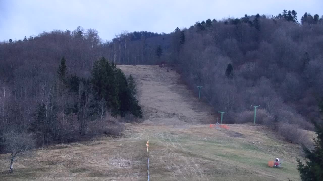 Webcam Loqua / Lokve – La bellezza della selva di Tarnova