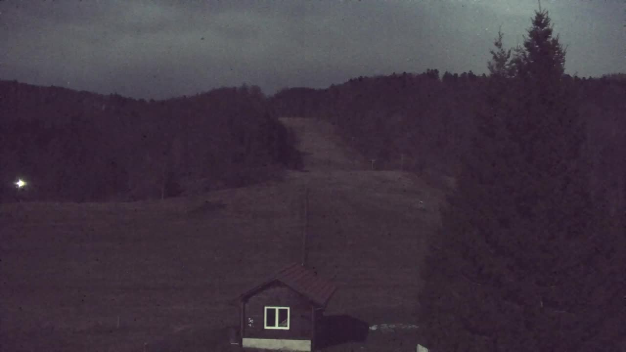 Webcam Loqua / Lokve – La bellezza della selva di Tarnova