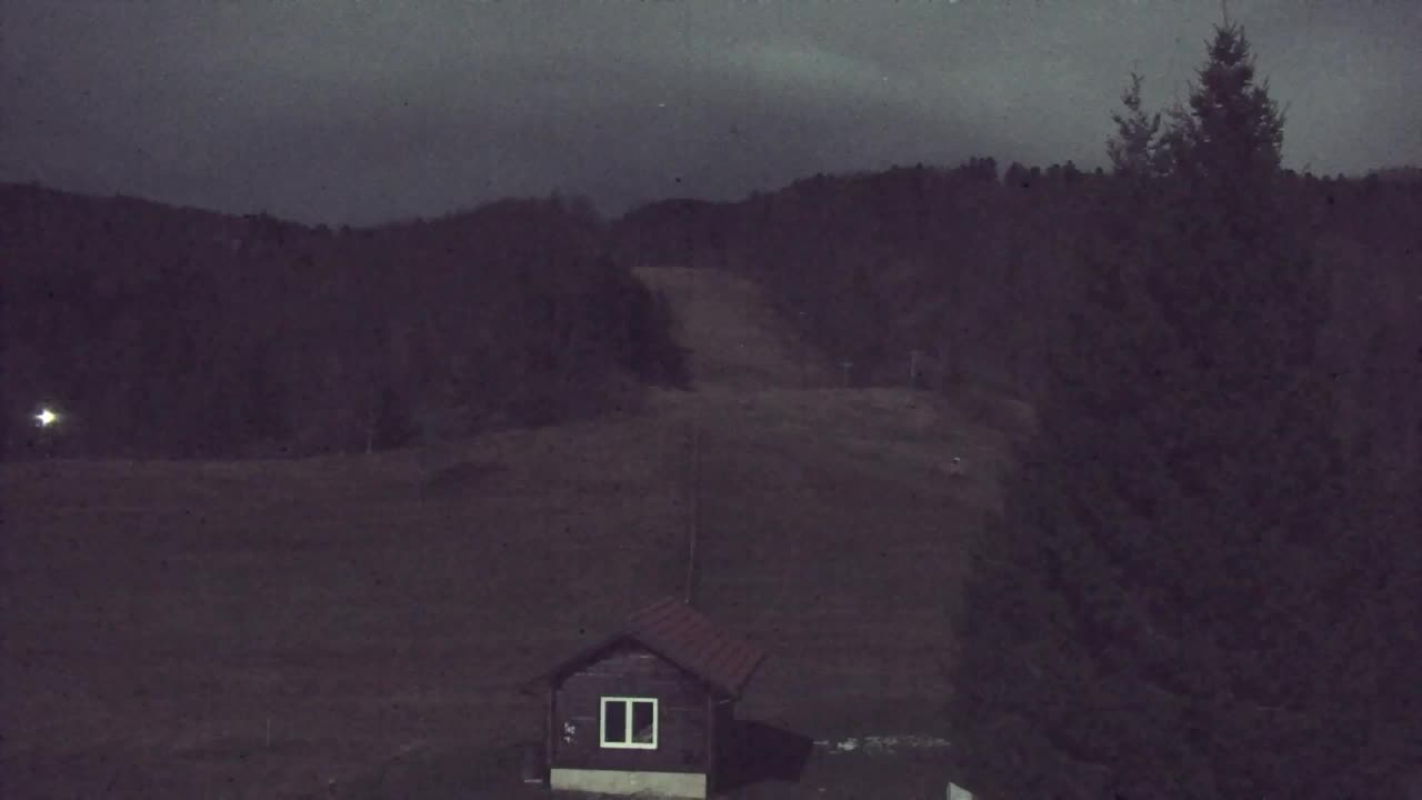 Camera en vivo Lokve – La belleza del bosque de Trnovo