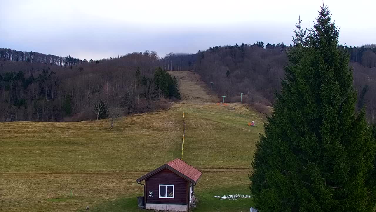 Webcam Loqua / Lokve – La bellezza della selva di Tarnova