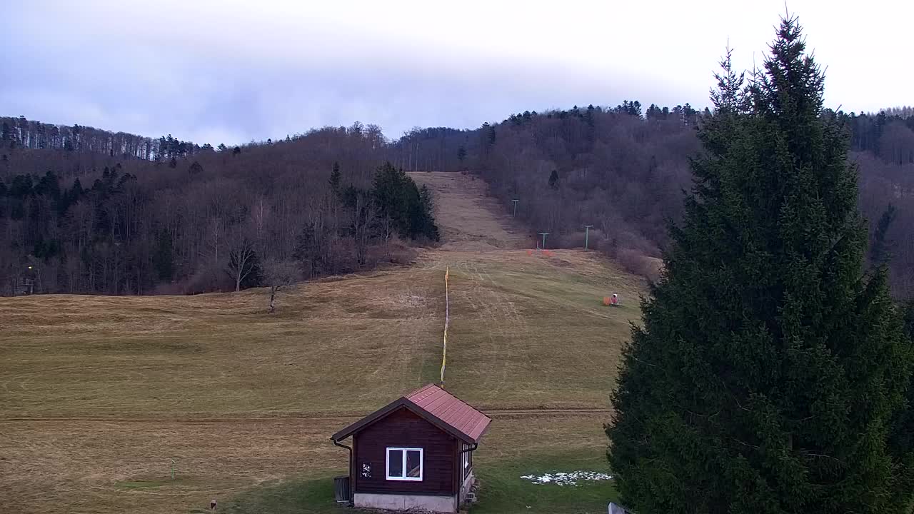 Webcam Lokve – The beauty of the Trnovo forest