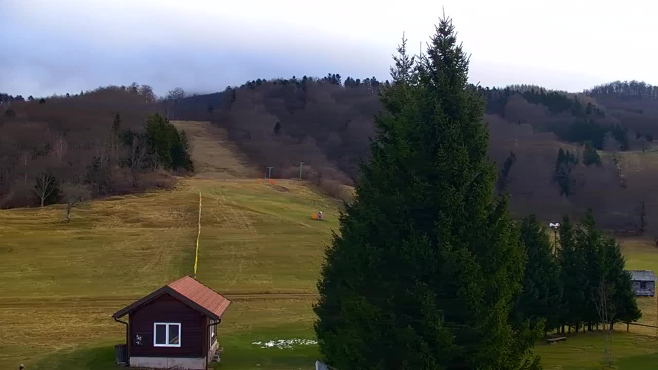 Webcam Loqua / Lokve – La bellezza della selva di Tarnova