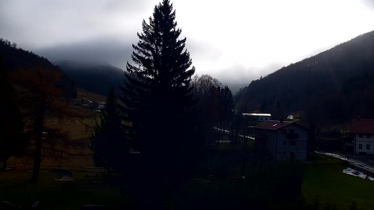 Webcam Lokve – La beauté de la forêt de Trnovo
