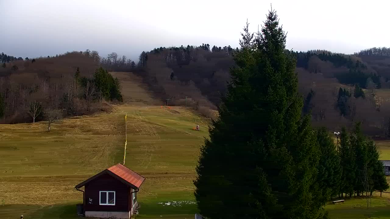 Web kamera Lokve – Ljepota Trnovske šume