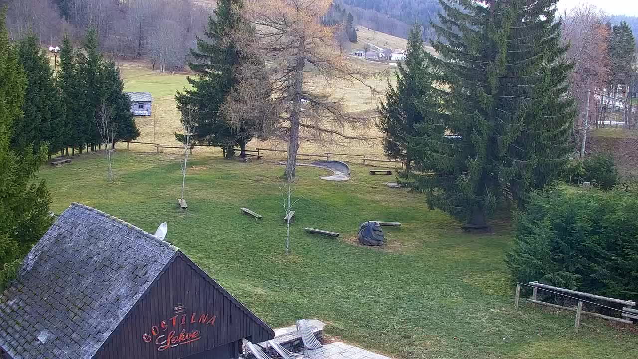 Webcam Lokve – The beauty of the Trnovo forest