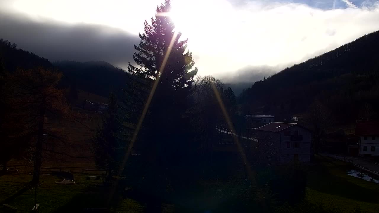 Webcam Loqua / Lokve – La bellezza della selva di Tarnova