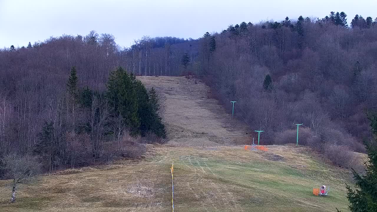 Webcam Lokve – The beauty of the Trnovo forest