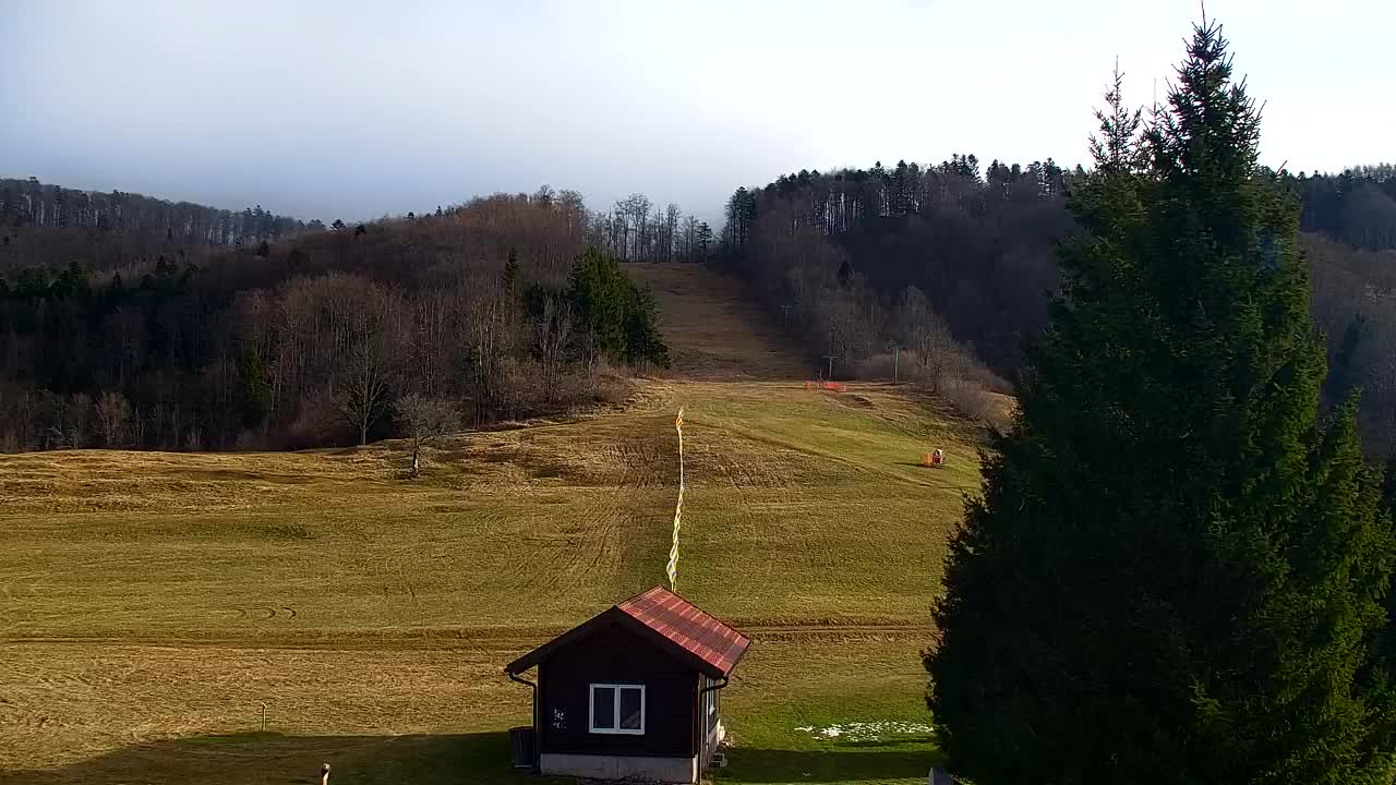 Webcam Lokve – The beauty of the Trnovo forest