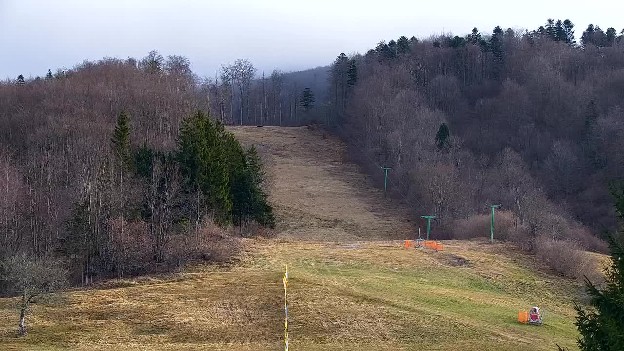 Webcam Lokve – Die Schönheit des Trnovo-Waldes