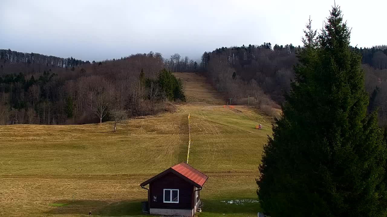 Webcam Lokve – La beauté de la forêt de Trnovo