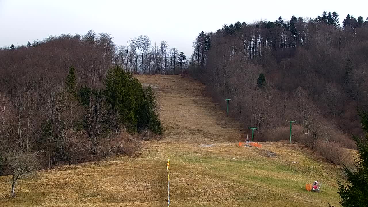 Webcam Lokve – La beauté de la forêt de Trnovo