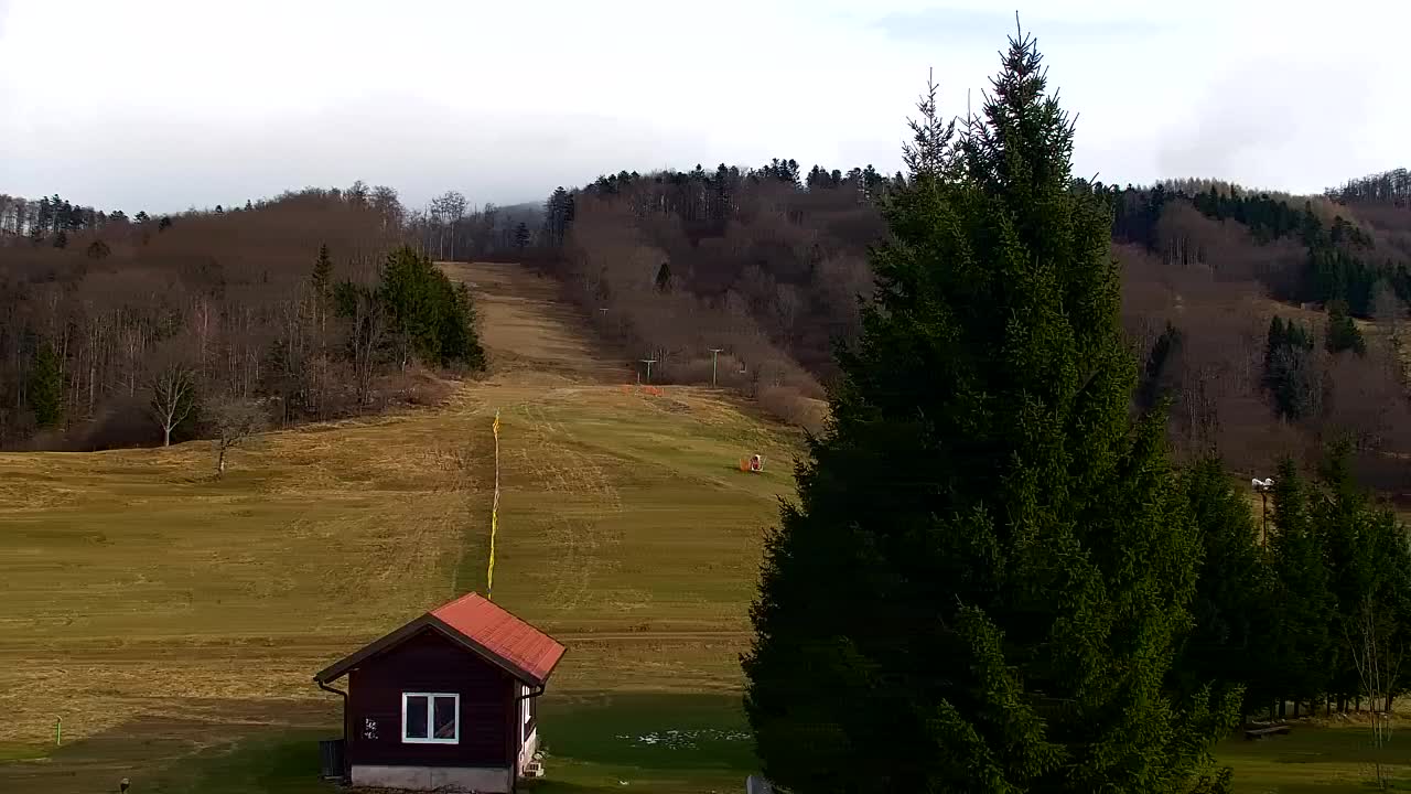 Webcam Lokve – La beauté de la forêt de Trnovo