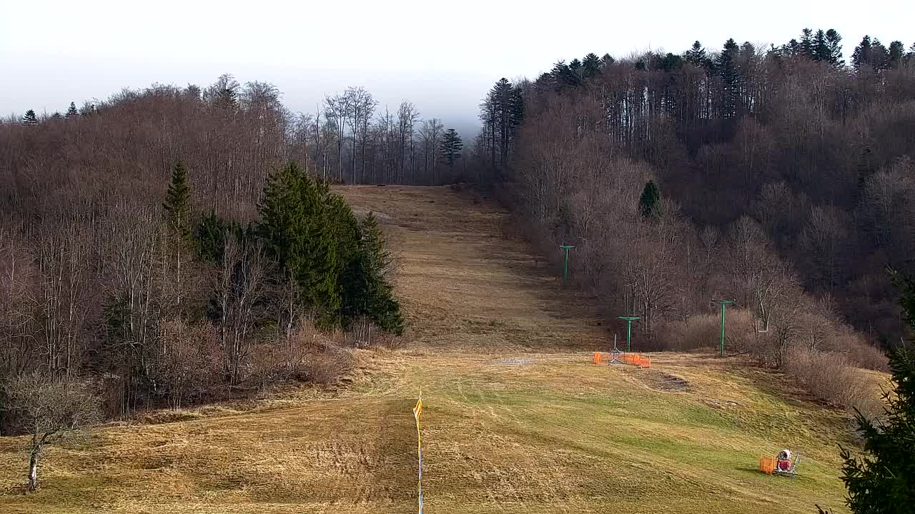 Camera en vivo Lokve – La belleza del bosque de Trnovo