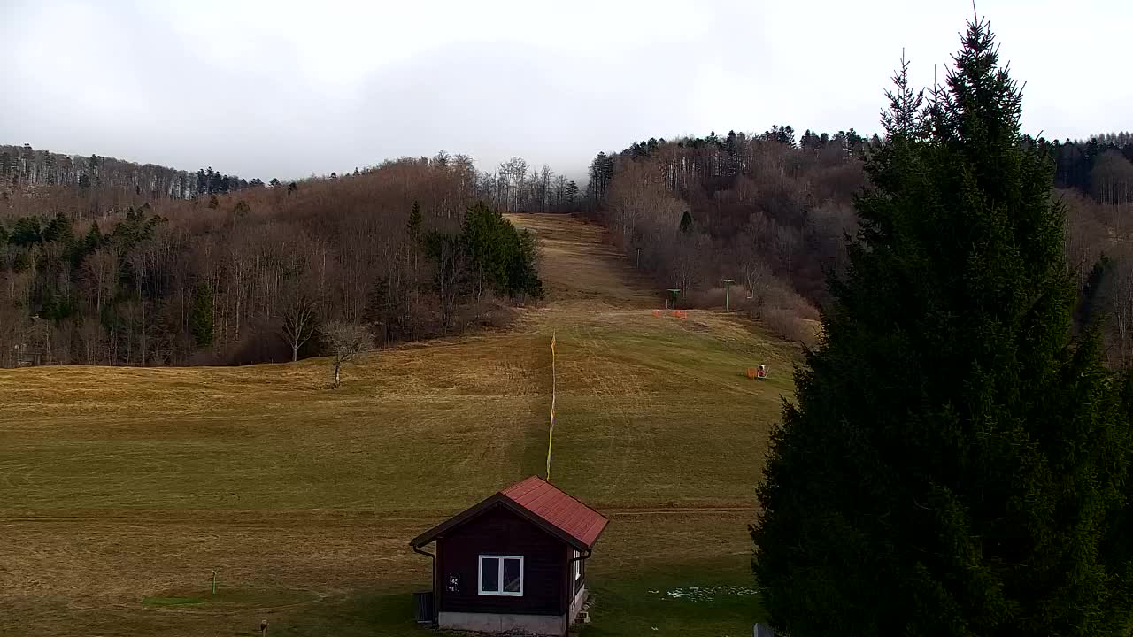 Web kamera Lokve – Ljepota Trnovske šume